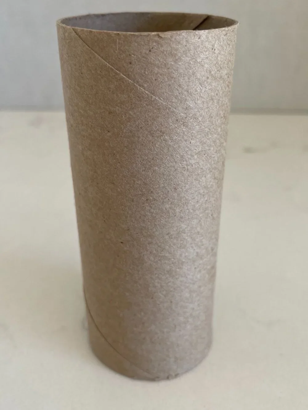 30 Empty Toilet Paper Rolls Cardboard Tubes Craft Art Project School Camp Kids